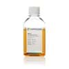 Show details for FBS Xtra, Fetal Bovine Serum, Collected in South America - 500 ml Picture of FBS Xtra, Fetal Bovine Serum, Collected in South America - 500 ml